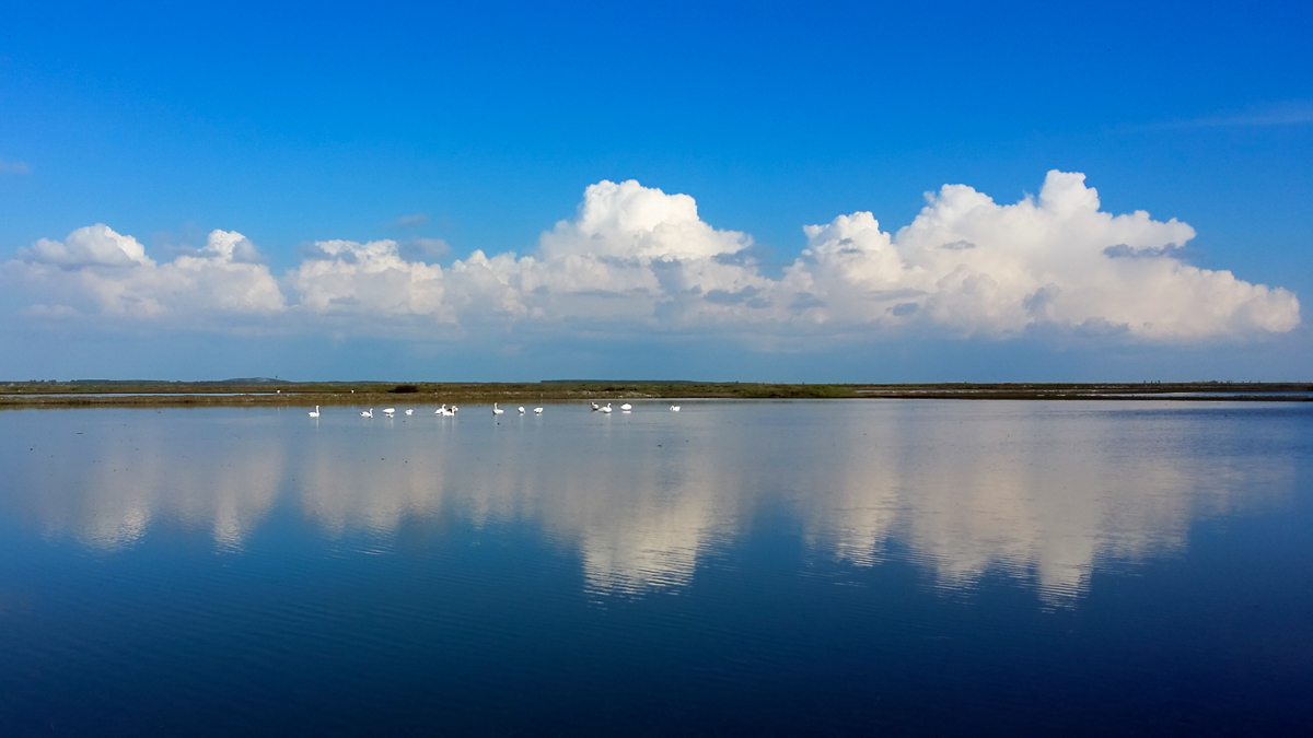 Tellus Group - produzione di riso in Europa