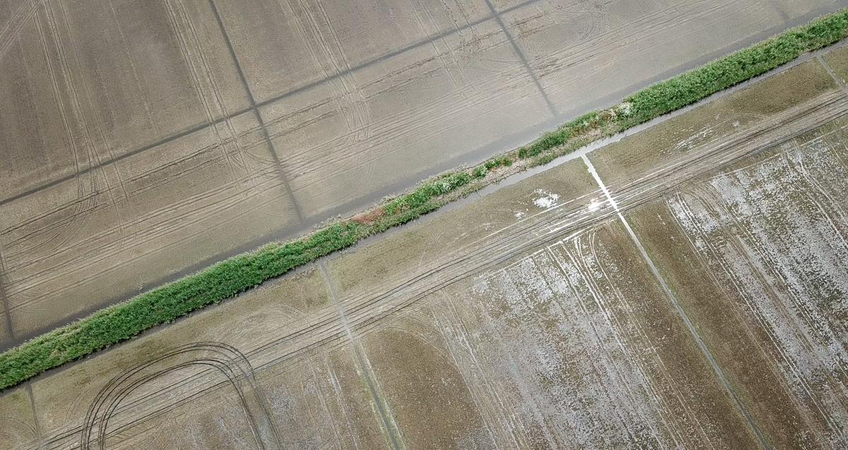 Tellus Group - produzione di riso in Europa